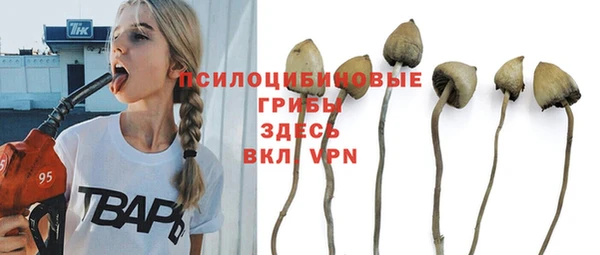 ALPHA-PVP Инсар