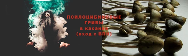 таблы Иннополис