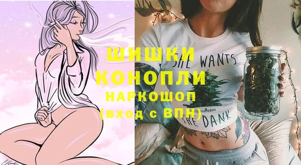 ALPHA-PVP Инсар