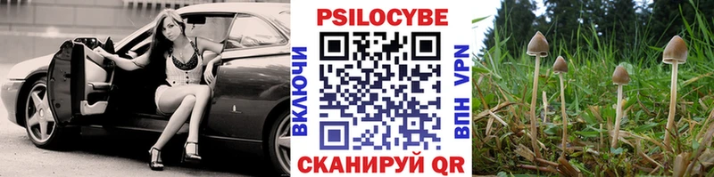 Псилоцибиновые грибы прущие грибы Липки