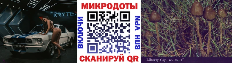 Псилоцибиновые грибы прущие грибы  сколько стоит  Липки 