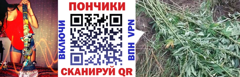 Бошки Шишки Bruce Banner  Липки 
